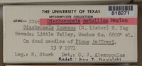 Image Associated With the Occurence